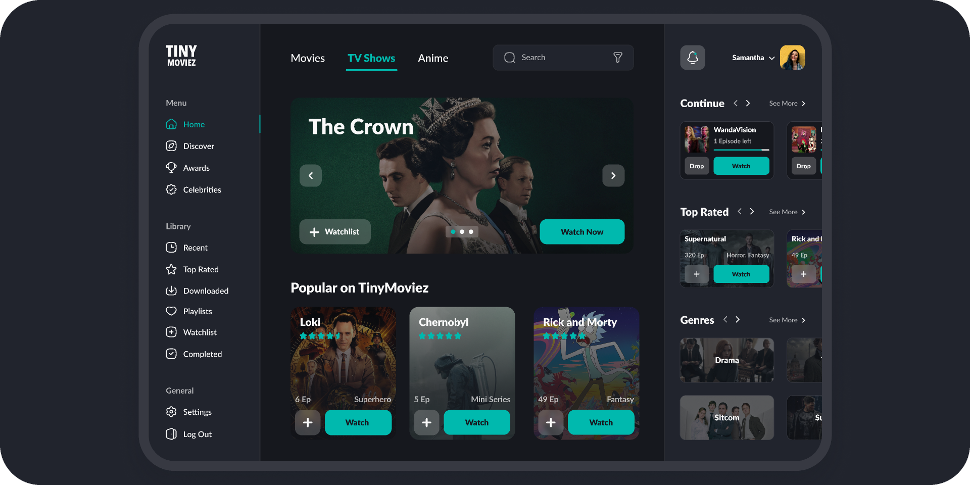 Levidia Streaming Interface